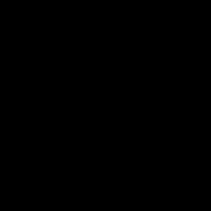 Meet your Posher, Noel